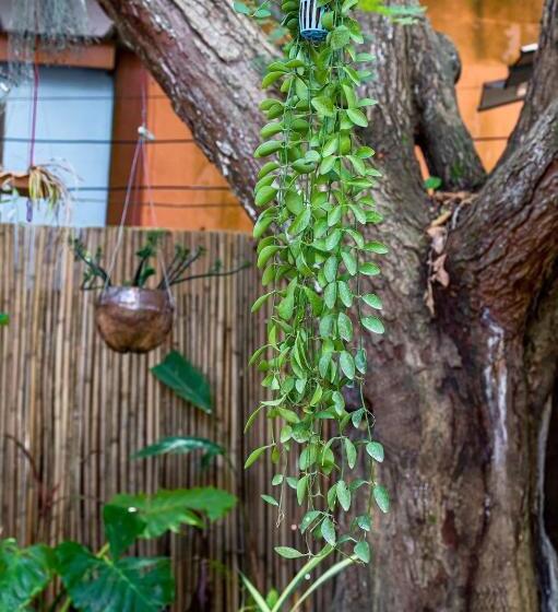 فندق Klongnin Nature Hill