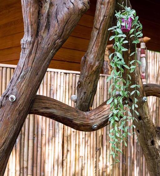 酒店 Klongnin Nature Hill