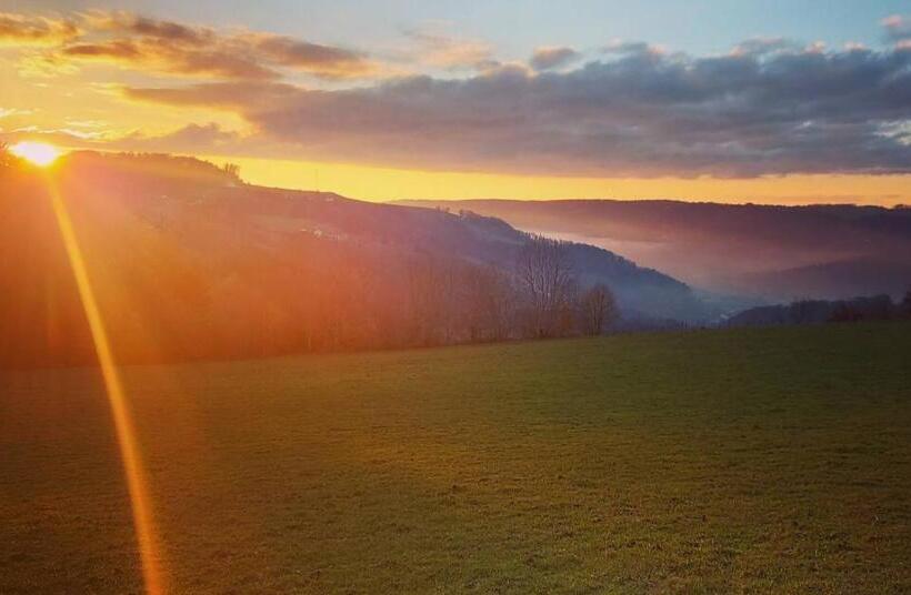 בית מלון כפרי Le Gîte De La Bergerie Des Chalots
