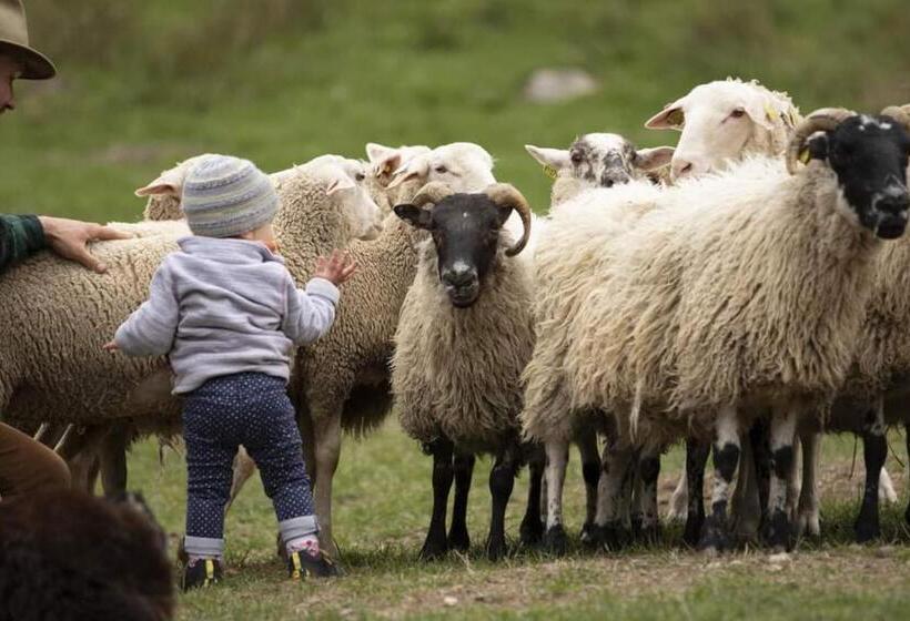 בית מלון כפרי Le Gîte De La Bergerie Des Chalots