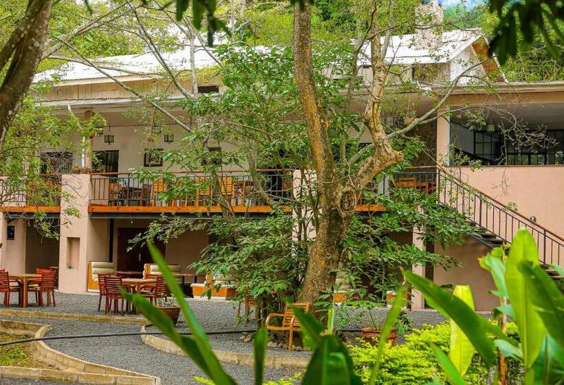 Отель Mbugwe Lodge