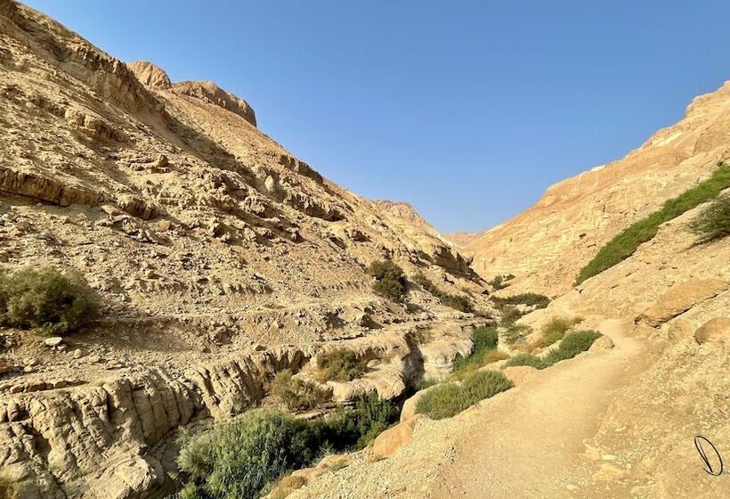 בית מלון כפרי Roxon Desert Arad