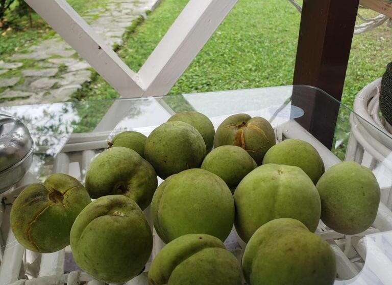 호텔 The Nettle And Fern Farmstay