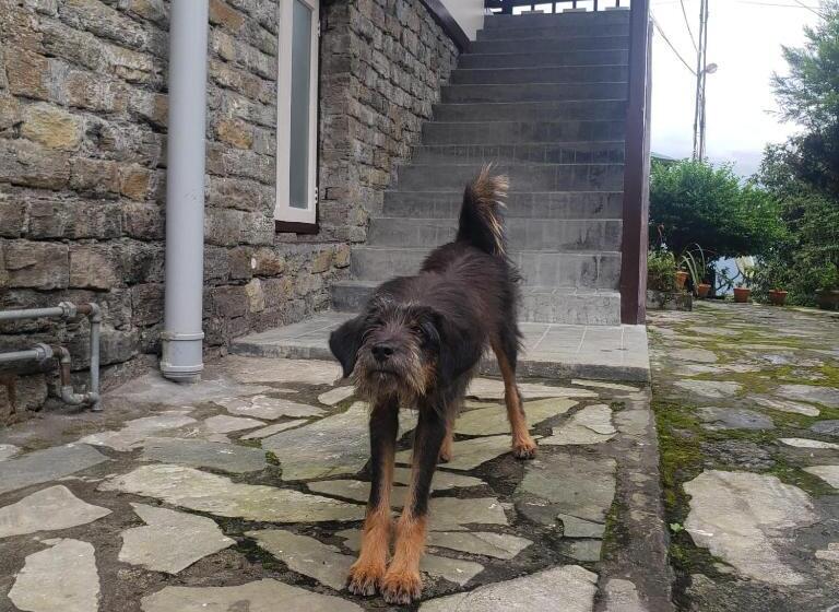 호텔 The Nettle And Fern Farmstay