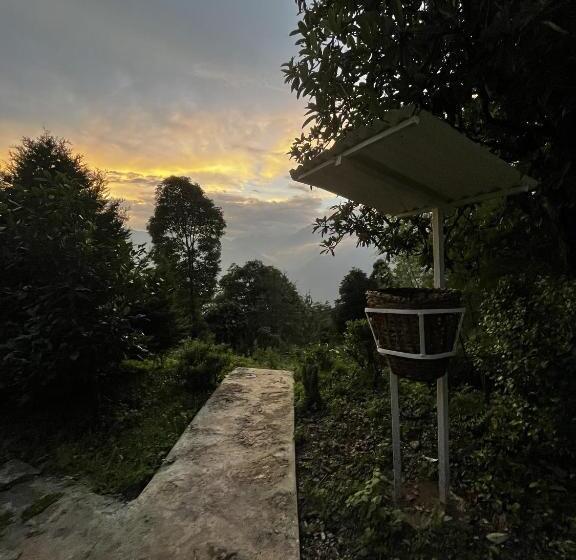 호텔 The Nettle And Fern Farmstay