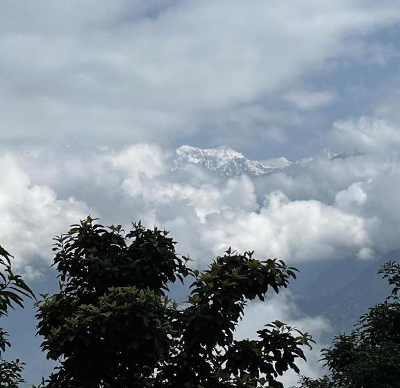 호텔 The Nettle And Fern Farmstay