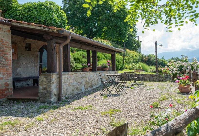 בית מלון כפרי Universal Harmony   Poiana