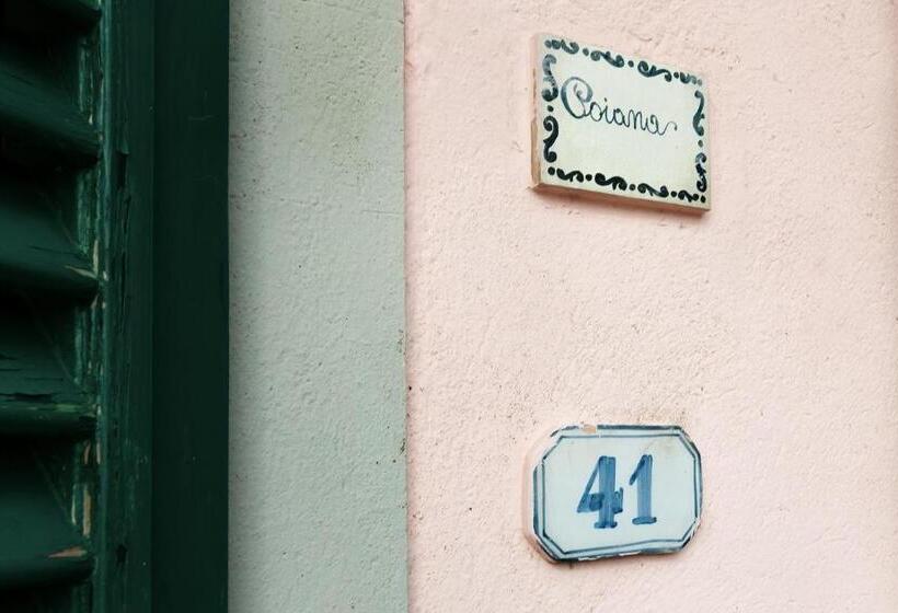 בית מלון כפרי Universal Harmony   Poiana