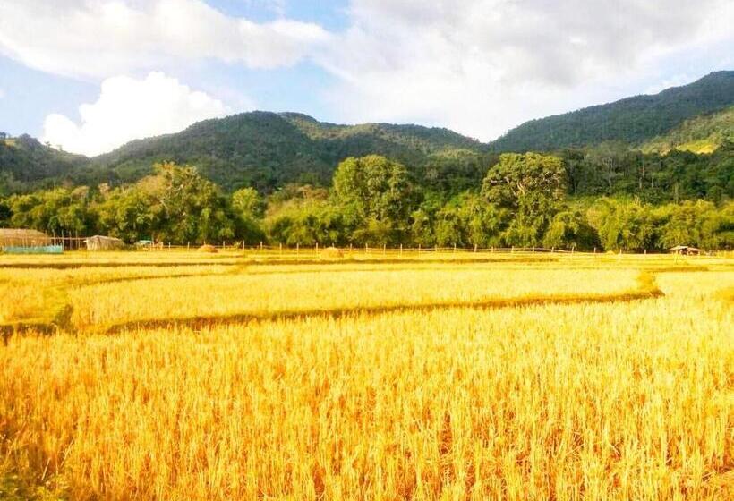 فندق เวียงสว้า Vieng Sava บ่อเกลือ