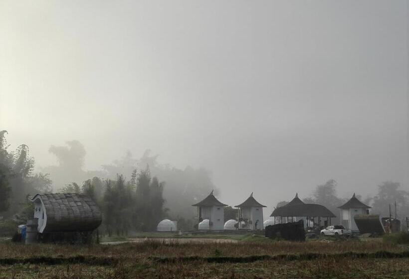 فندق เวียงสว้า Vieng Sava บ่อเกลือ