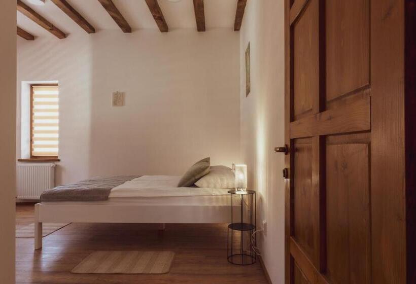 فندق Pensiunea Violin Panzió