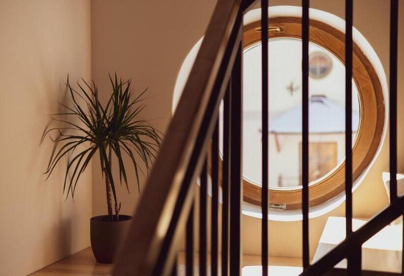 فندق Pensiunea Violin Panzió