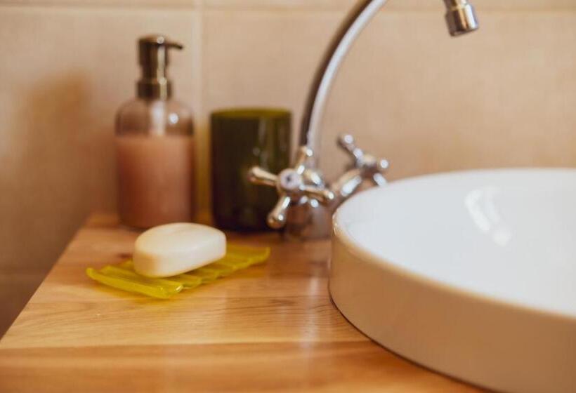 فندق Pensiunea Violin Panzió