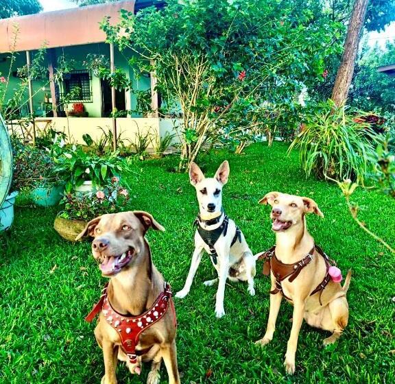 بنسيون Cabaña Montecielo 2