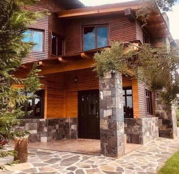 ペンション Cabañas Los Girasoles