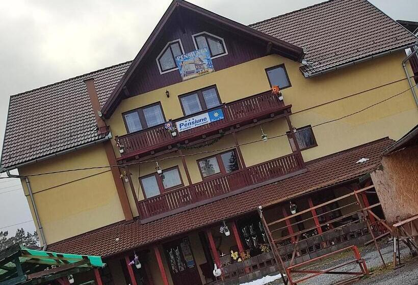 פנסיון Edelweis Floare De Colt