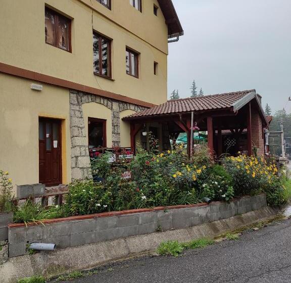 פנסיון Edelweis Floare De Colt