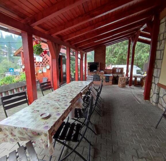 Пансион Edelweis Floare De Colt