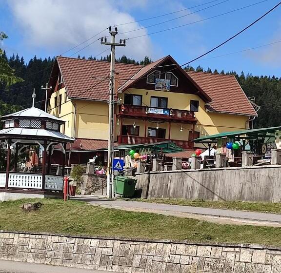 Пансион Edelweis Floare De Colt