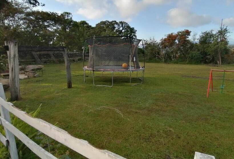 بنسيون El Abuelo