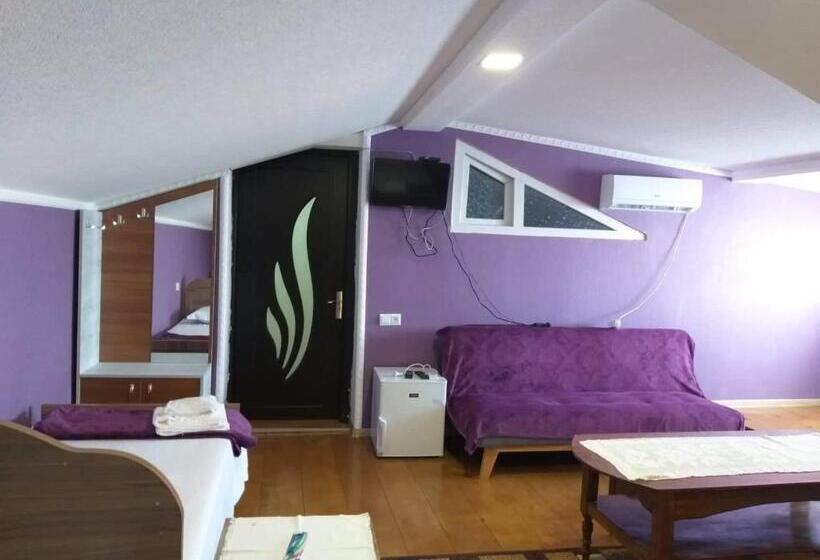 پانسیون Guest House Aisi