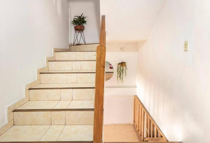 膳宿费 Letto Hostal