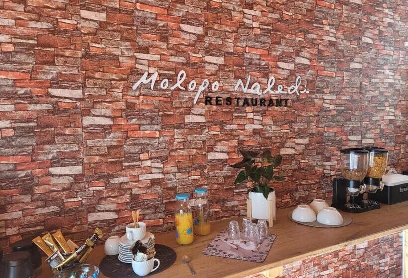 ペンション Molopo Naledi Guest Lodge