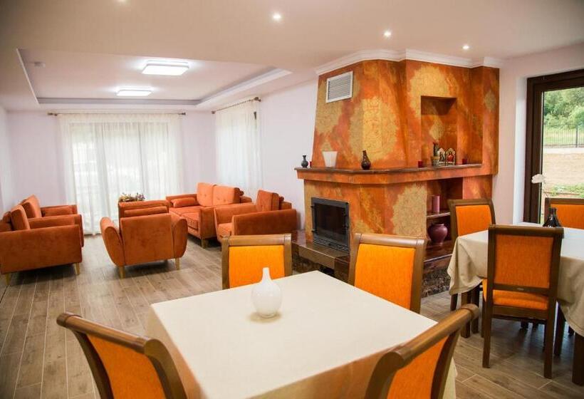 膳宿费 Poiana Transilvaniei