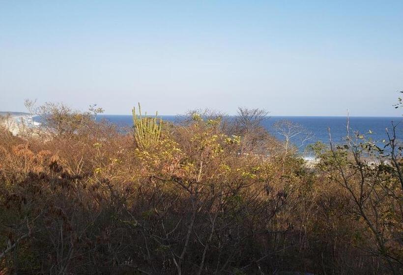 膳宿费 Posada El Cielo