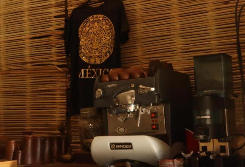 پانسیون Posada Reataurante Frida Kahlo