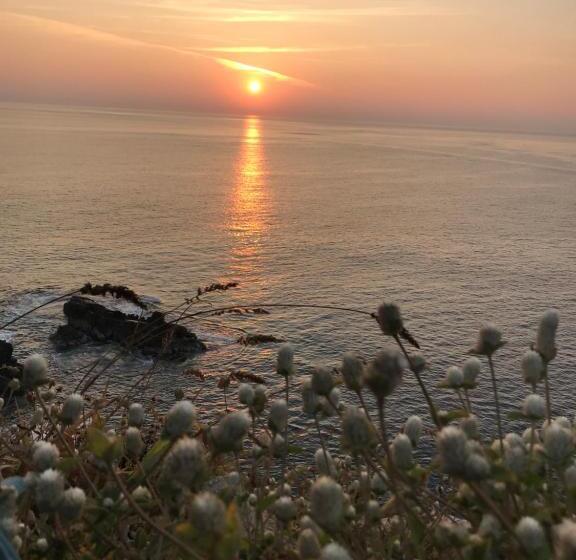 پانسیون Posada Reataurante Frida Kahlo
