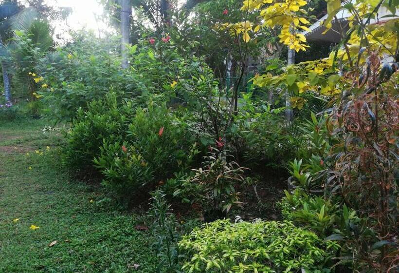 펜션 Udara S Colombo Rooms