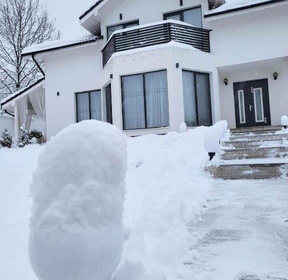 بنسيون Vila White