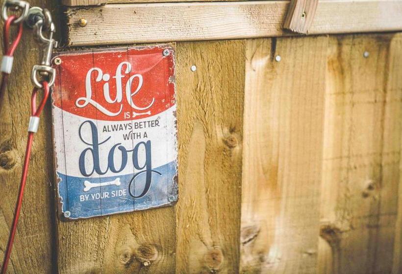 بنسيون Willow Hill Farm Club