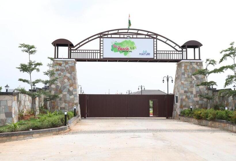 Курорт The Ranch