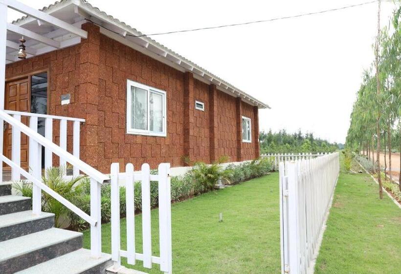 Курорт The Ranch