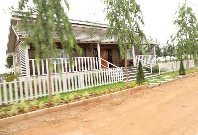 Курорт The Ranch