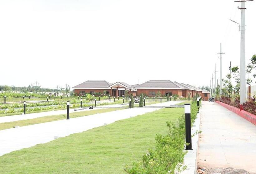 Курорт The Ranch