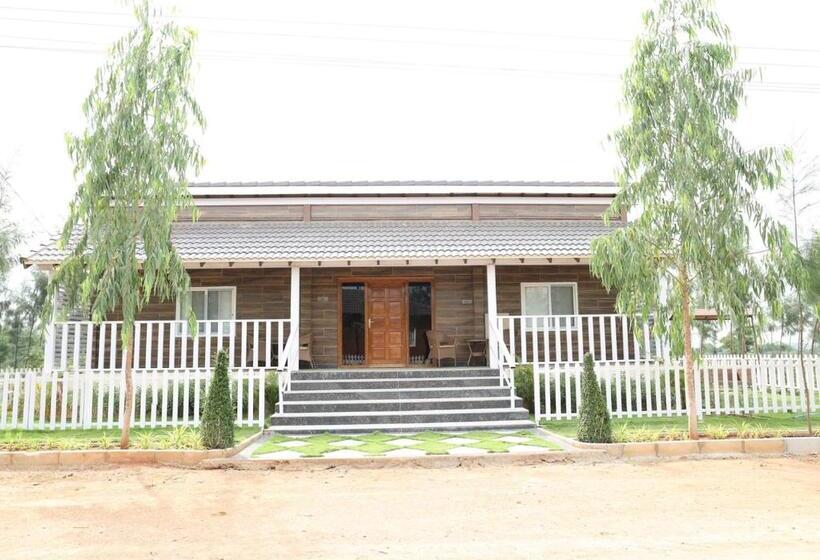 Курорт The Ranch