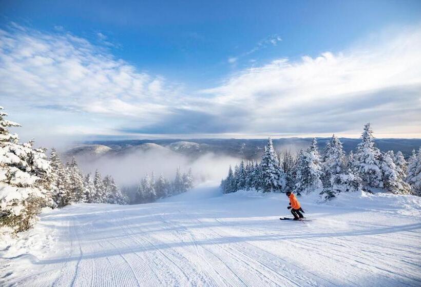 Suites Sur Lac Superieur Mont Tremblant