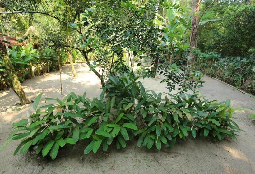 הוסטל Acorde Eco