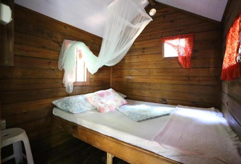 הוסטל Acorde Eco