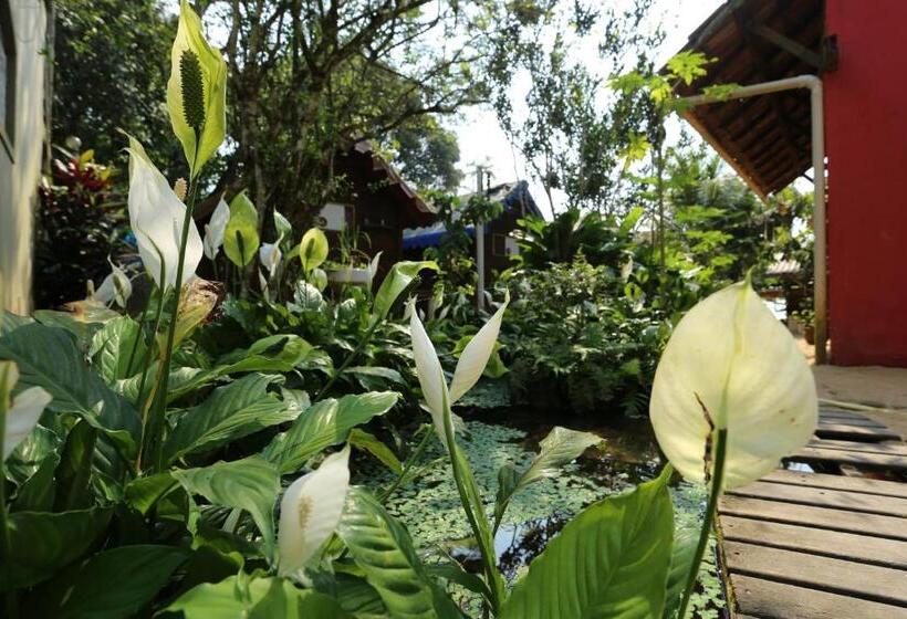 فندق صغير Acorde Eco