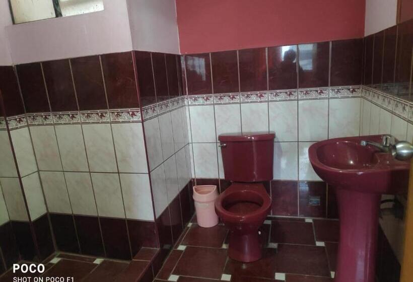 هاستل Hospedaje El Pino