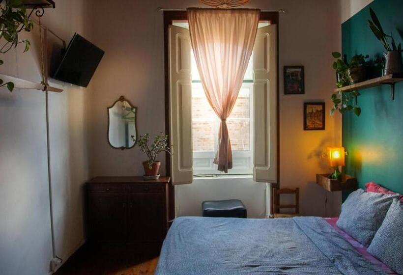 فندق صغير Oliva Guesthouse