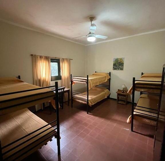 ユースホステル Posada Del Bosque