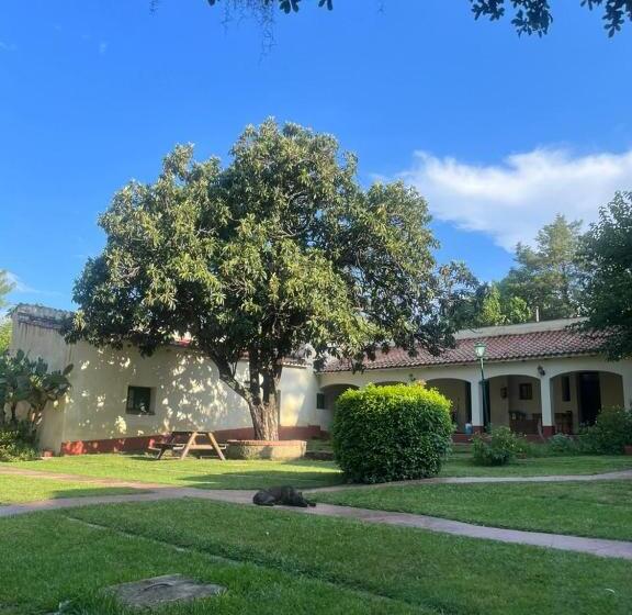 ユースホステル Posada Del Bosque