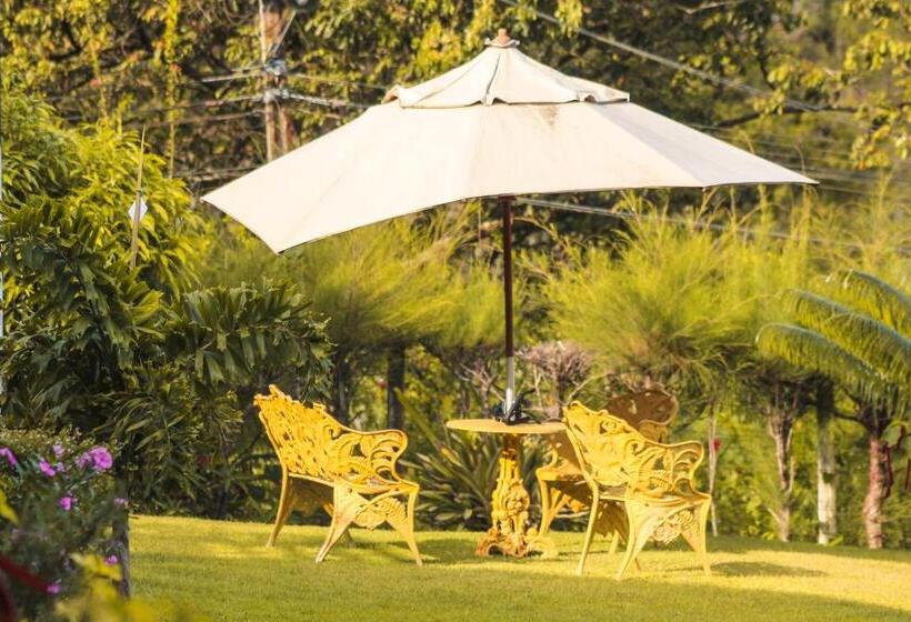 הוסטל Pousada E Bistrô Estância Monte Horebe