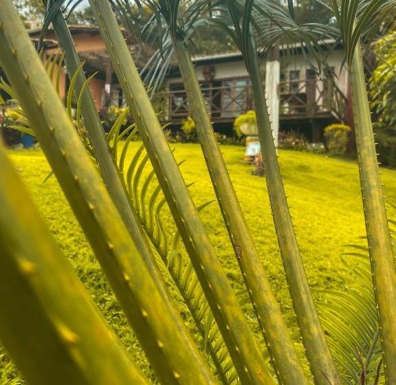 הוסטל Pousada E Bistrô Estância Monte Horebe