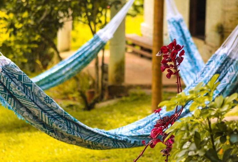 הוסטל Pousada E Bistrô Estância Monte Horebe